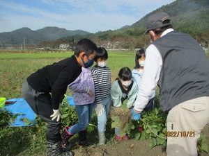３年生黒枝豆収穫